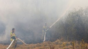 На Кубани локализовали лесной пожар на примерной площади 1,9 га