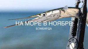 На Черное море в ноябре. Сарган и кефаль на бомбарду.