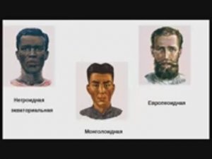 Очищение монголоидной расы. 13.11.25.
