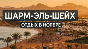 Отпуск в Египте: Шарм-эль-Шейх, Sheraton, ноябрьская магия и подводные приключения