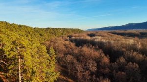 Вид на Волгу из заброшенного лагеря "Ленинец", у посëлка Пискалинский Взвоз, Самарская область