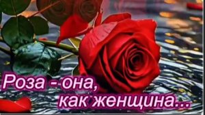 Роза - она как женщина!
