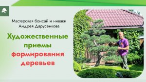 Художественные приемы формирования деревьев