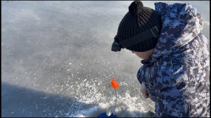 Рыбалка на жерлицы. Первый выезд комом