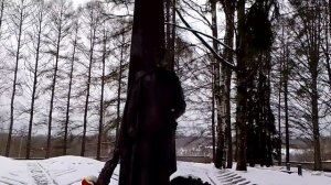 Половина пути. ч. 1