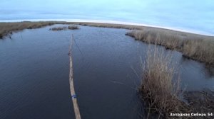 Натаскал карасей. Ветер сбивал с ног. Рыбалка на паук подъемник.