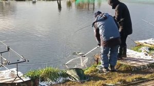 VID_20251123_121531_769