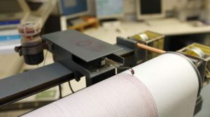 Землетрясение магнитудой 4,9 произошло на Камчатке