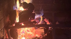 23-11-2025 ПОГОДА ТАК И ШЕПЧЕТ📌/жизнь здесь и сейчас ❤️❤️❤️