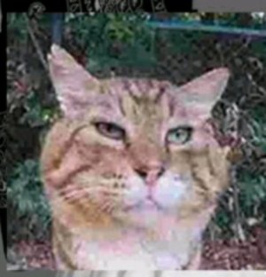 моя комната