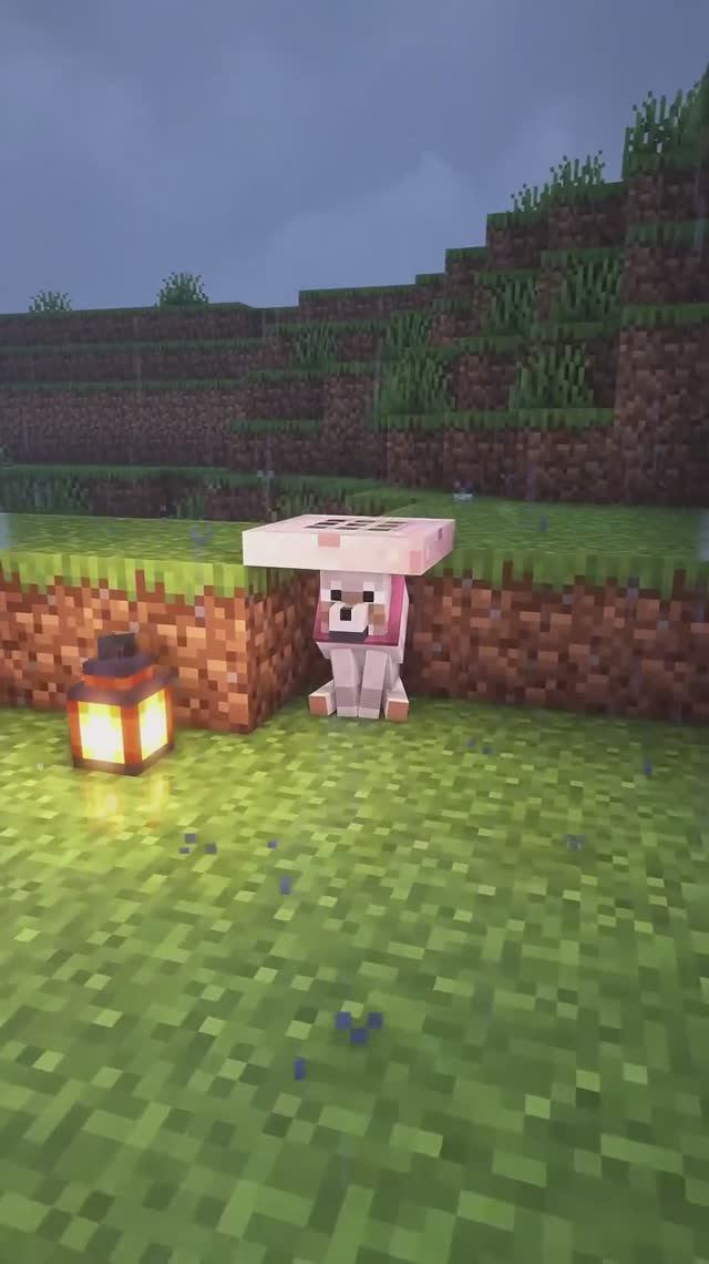 Построй дом для 🐶 #minecraft @Mc_orang_e