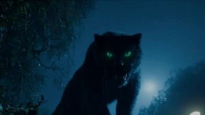 video_Глава 27, Часть 2, Конец квартире No 50