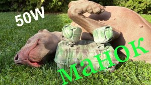 Много функциональный манок в камуфляже на 50W