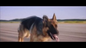 трек про фильм Пальма