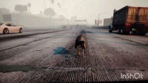 Играю за животных в ГТА 5