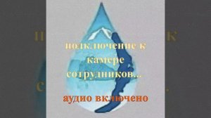 последняя запись отряда дельта