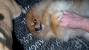 Всем наидобрейшего утречка и легкого понедельника.