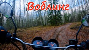 Воблинг на мопеде альфа