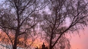 Рассвет 23.11.25