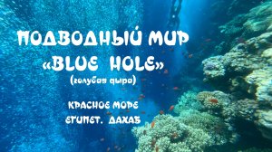 Blue Hole (голубая дыра). Подводный мир. Красное море. Египет.Дахаб