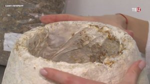 В Петербурге научились делать дизайнерскую мебель из грибов.