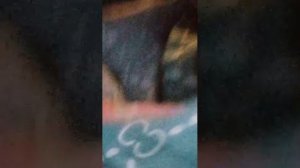 23 ноября 2025