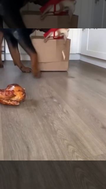 Знай свое место