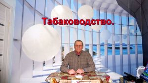 Табаководство: Отвечаю на Ваши вопросы - Основные сорта.