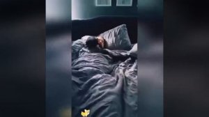 Видео от МЯУтаверс – как метавселенная, но с котами