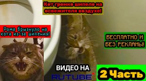 Кот Тоша рычит и шипит, даже боится на освежитель воздух! (2 Часть).