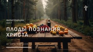 Филиппийцам 4:4-7 | Плоды познания Христа | Игорь Гердов