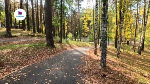 Сибирь. Осень. Городской парк.  Прогулка