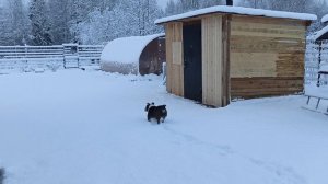 засыпало снежок, 14.10,2025