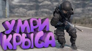 МЕСТЬ НАЁМНИКАМ ЗА ПРЕДАТЕЛЬСТВО в [DayZ Stalker RP]