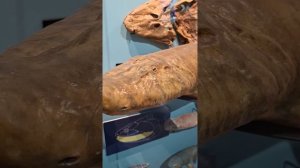 Поездка Ч 3. в Музей Истории Мироздания, Подмосковье🌎Таисия и Маргарита в эфире Ноябрь 2025 🥰