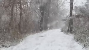 утренний снежок