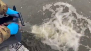 2025-11-23 в 11.01.25_57c71a59