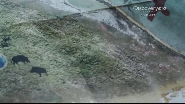 Голые и напуганные 3 сезон 2 серия (реалити-шоу, 2014)