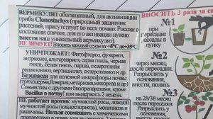 Как МикробиологВера барматухой замаралась