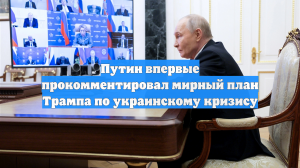 Путин впервые прокомментировал мирный план Трампа по украинскому кризису