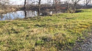 Частный пруд