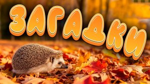 Цепочка Загадок 🐿️ для детей