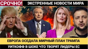 УИТКОФФ В ШОКЕ! ЕВРОПА ОСЕДЛАЛА МИРНЫЙ ПЛАН ТРАМПА! ЧЕМ ЗАКОНЧАТСЯ ПЕРЕГОВОРЫ