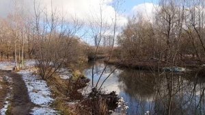 Памятник природы "Сходненский ковш". Москва.