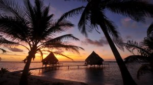 Девушка из Камеруна