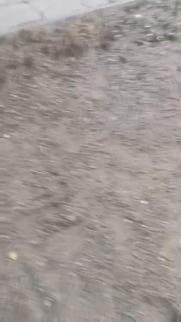 смотрите какие качели нашёл смотреть онлайн