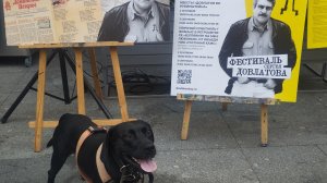 Музей Псов @ Сергей Довлатов @ ДеньД @ Жил Был Пёс @ Моя Жизнь Кино @ Пёс @ Чибо