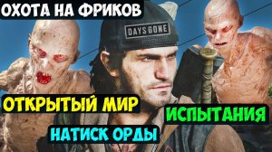 ⚡️ОХОТА НА ФРИКОВ! ОТКРЫТЫЙ МИР, ИСПЫТАНИЯ, НАТИСК ОРДЫ. #daysgone #натискорды #жизньпосле