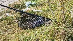 VID_20251123_125605_704