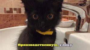 В Липецке временно ограничат подачу холодной воды из-за ремонтных работ